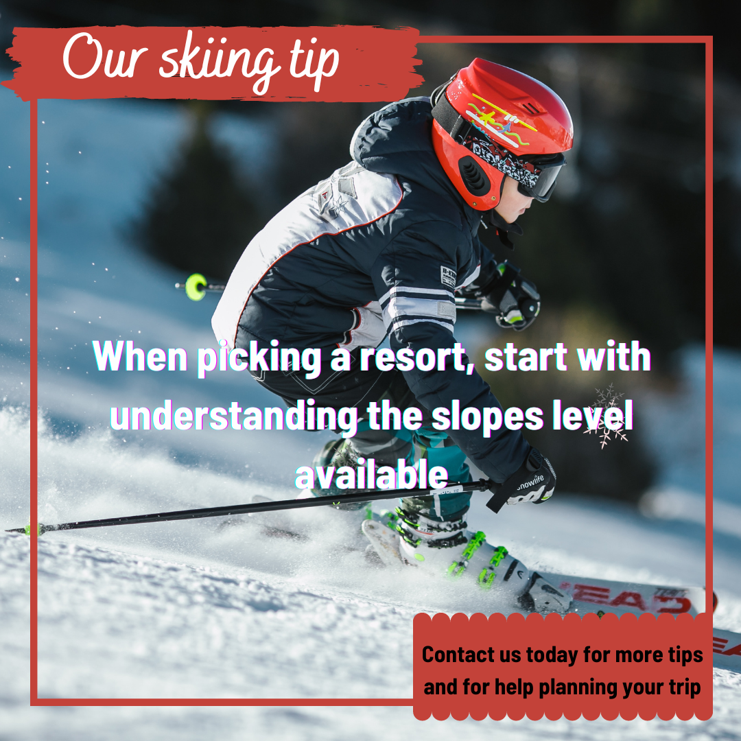 _Ski_Tip_4__IG_.png