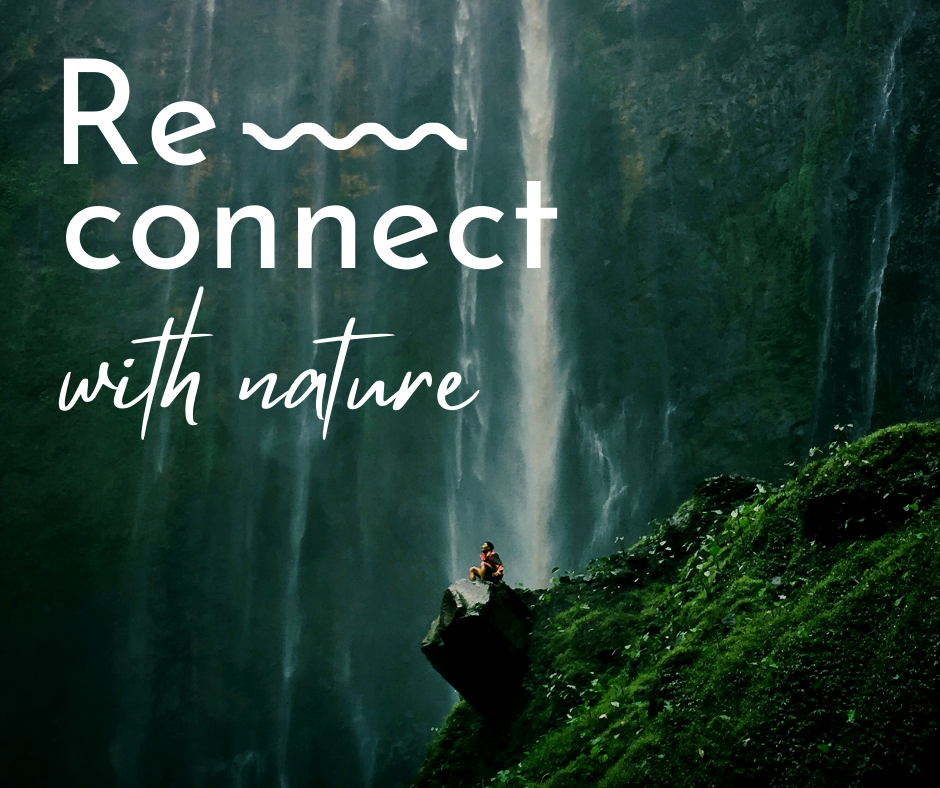 Nature_1_FB__1_.png