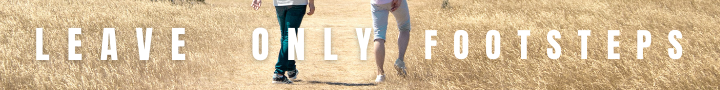 Nature_4_banner.png